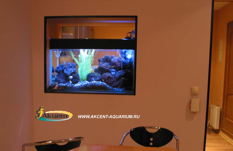 Акцент-аквариум,аквариум 200 литров просмотровый в нише